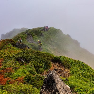 稜線に立ち込める霧と登山者（秋田駒ヶ岳）の写真