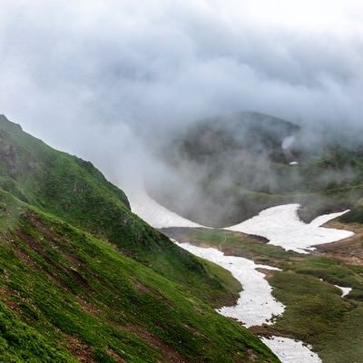 ムーミン谷に立ち込める霧（秋田駒ヶ岳）の写真