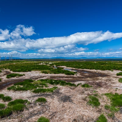 日本最大の砂嘴（野付半島）の写真