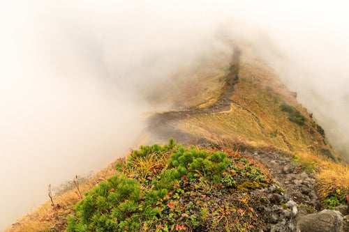 霧に覆われる駒ヶ岳の稜線の写真