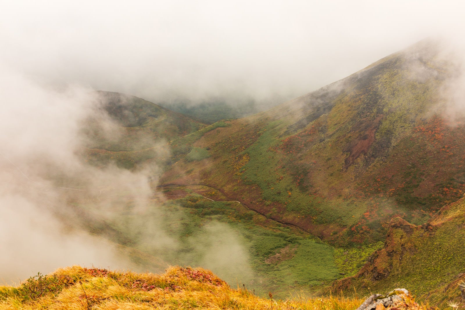 「沸き立つ霧に包まれるムーミン谷（駒ヶ岳）」の写真