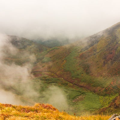 沸き立つ霧に包まれるムーミン谷（駒ヶ岳）の写真