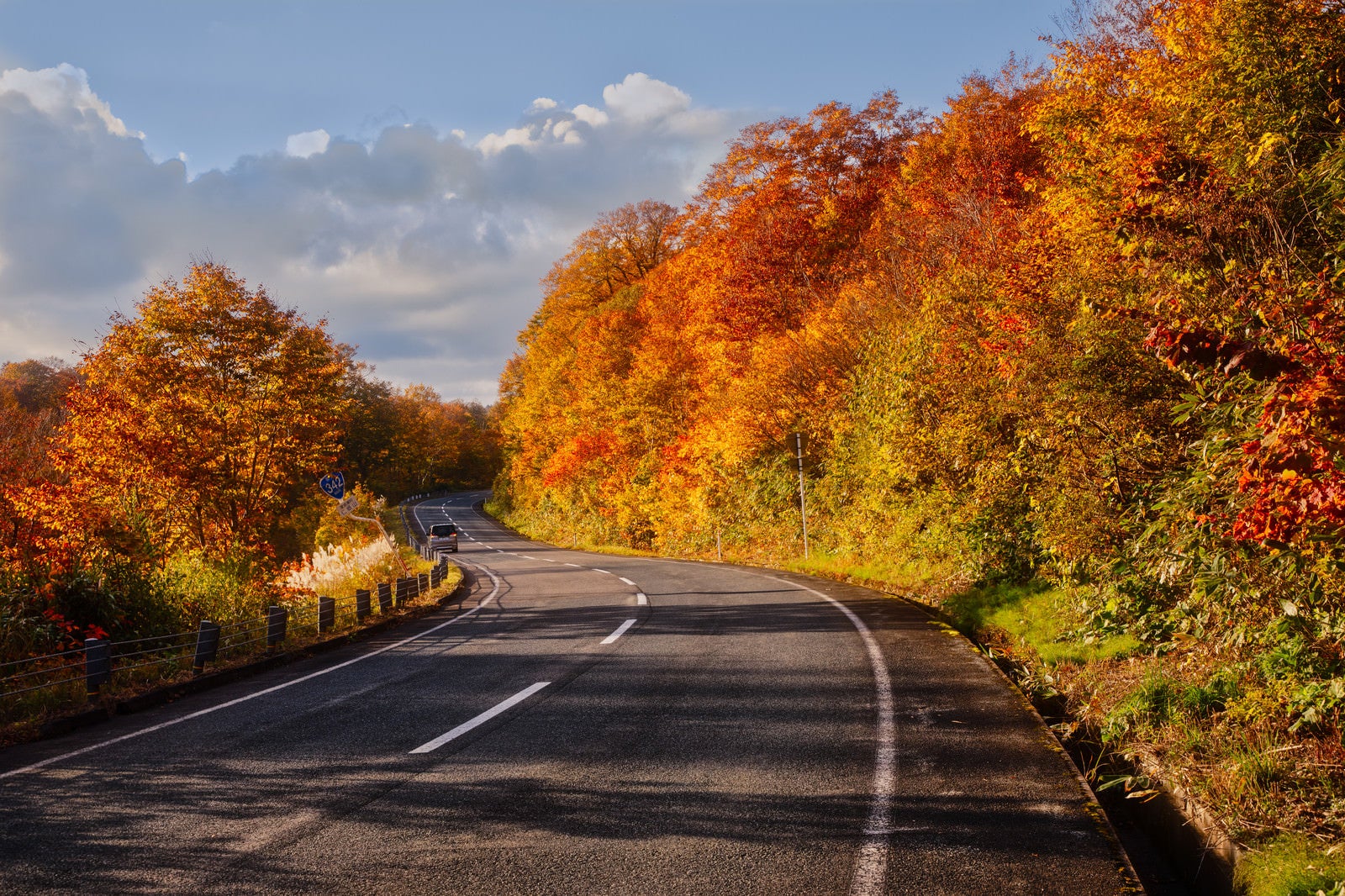 「栗駒山の紅葉で染まる道」の写真