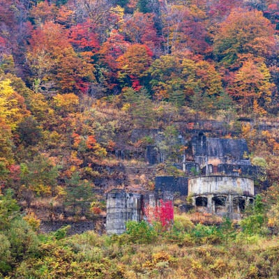 紅葉にまみれる廃墟（土畑鉱山跡）の写真