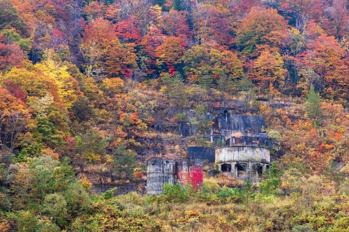 紅葉にまみれる廃墟（土畑鉱山跡）の写真