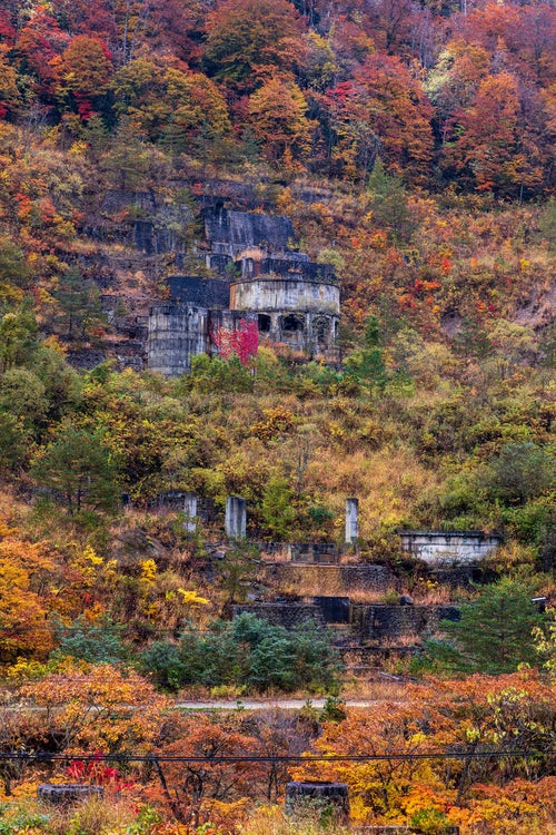 黄葉した山と廃墟（土畑鉱山跡）の写真