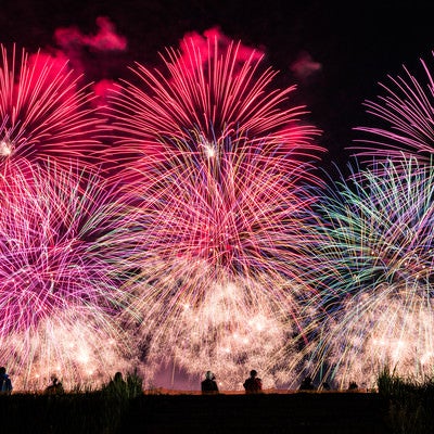 土手から見る大曲の花火（秋田県大仙市）の写真