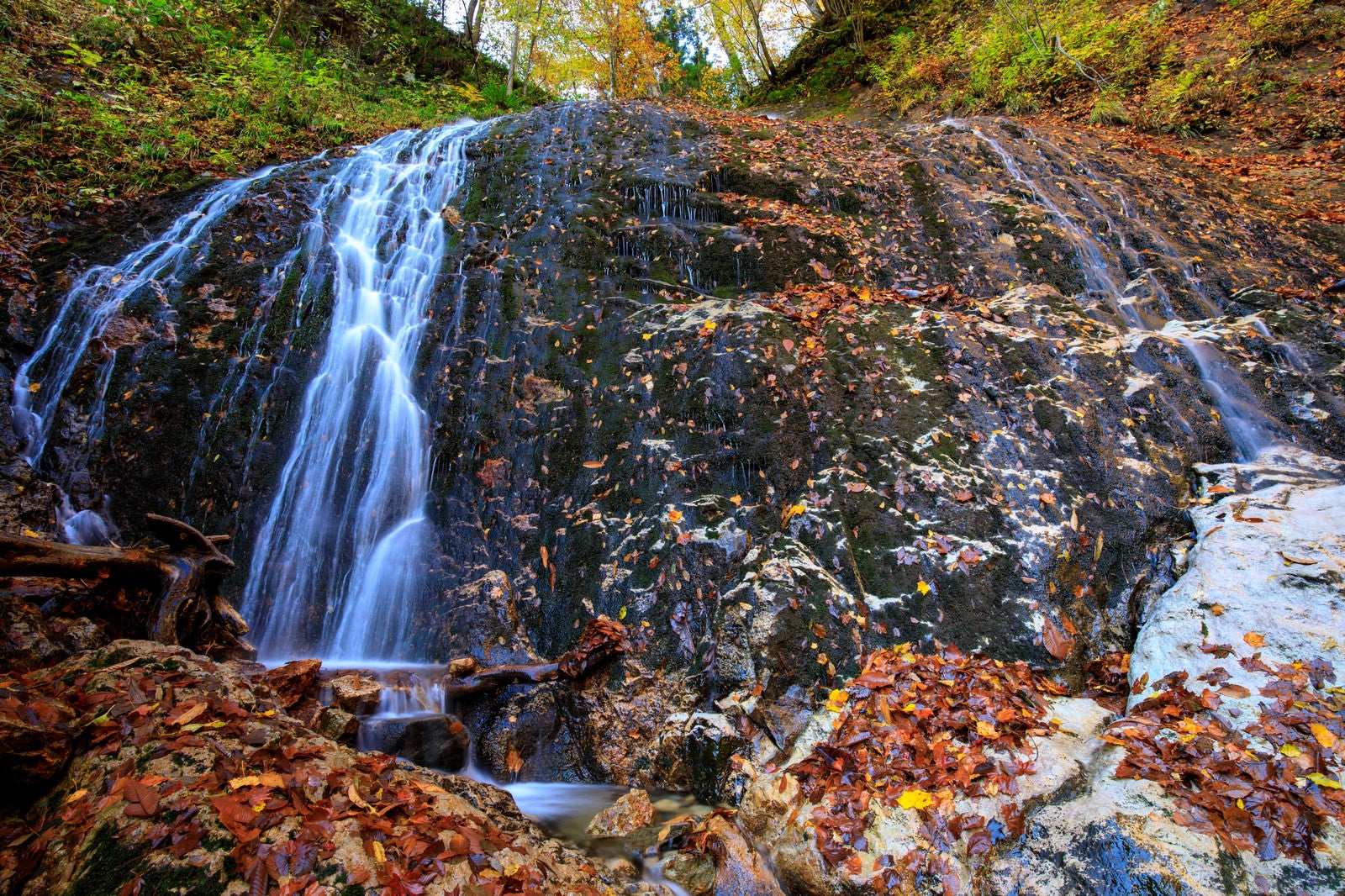 「渓流の小さな滝から流れる水と落ち葉」の写真