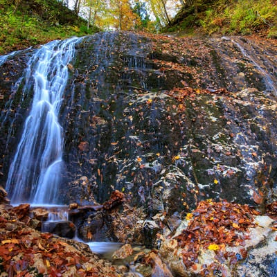 渓流の小さな滝から流れる水と落ち葉の写真