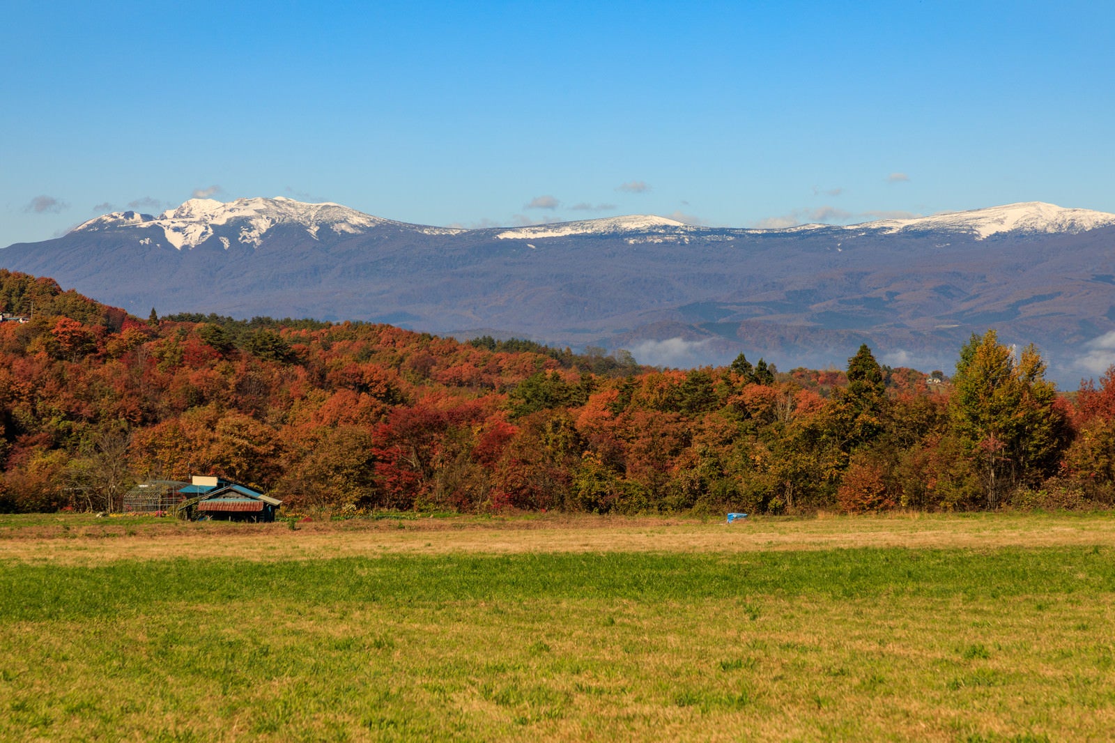 「草原から望む冠雪した八幡平と紅葉した山々」の写真