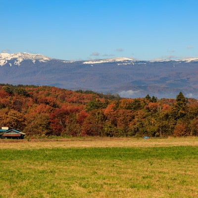 草原から望む冠雪した八幡平と紅葉した山々の写真