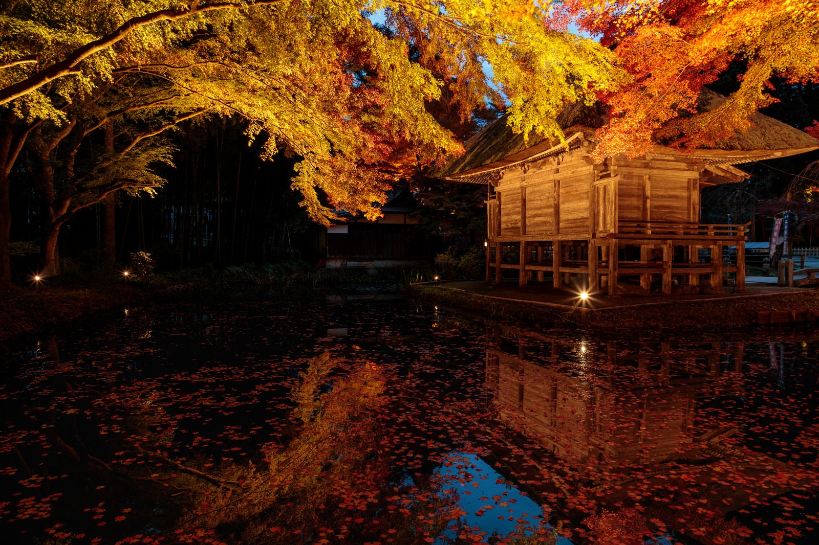 「水鏡に映る紅葉と中尊寺弁財天堂」の写真