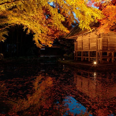 水鏡に映る紅葉と中尊寺弁財天堂の写真