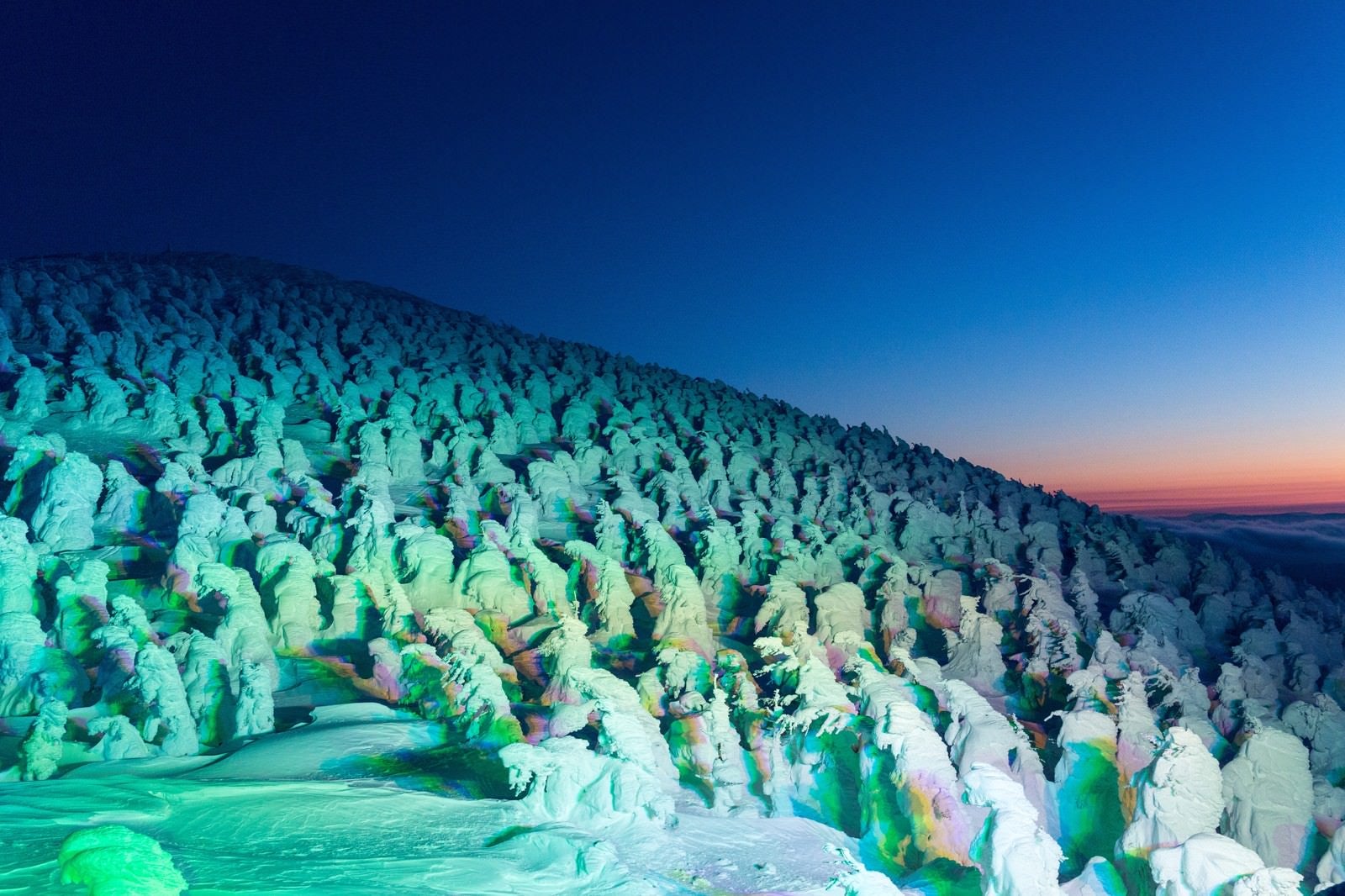 「蔵王の樹氷群」の写真
