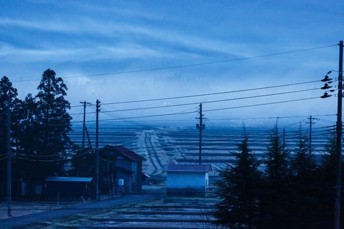 田舎の朝靄の写真