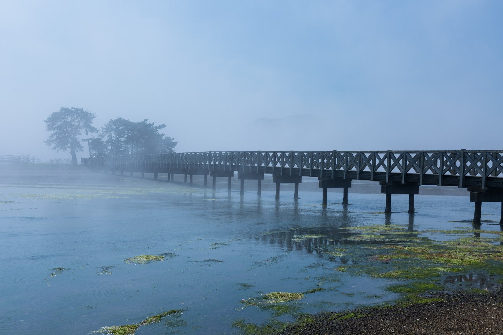 「海霧に包まれる渡り橋」の写真