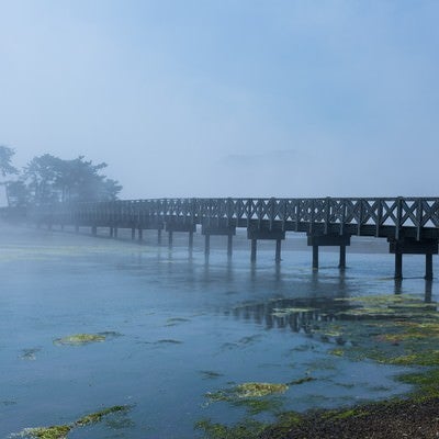 海霧に包まれる渡り橋の写真