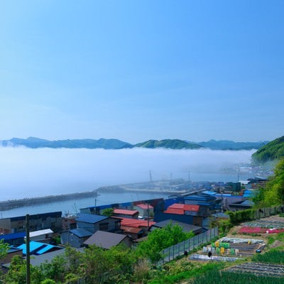海霧に包まれる漁村の写真