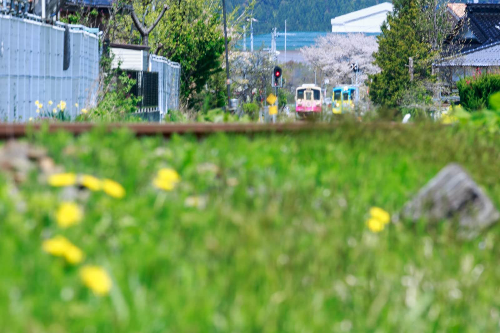 「春の訪れと由利高原鉄道」の写真