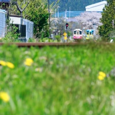 春の訪れと由利高原鉄道の写真