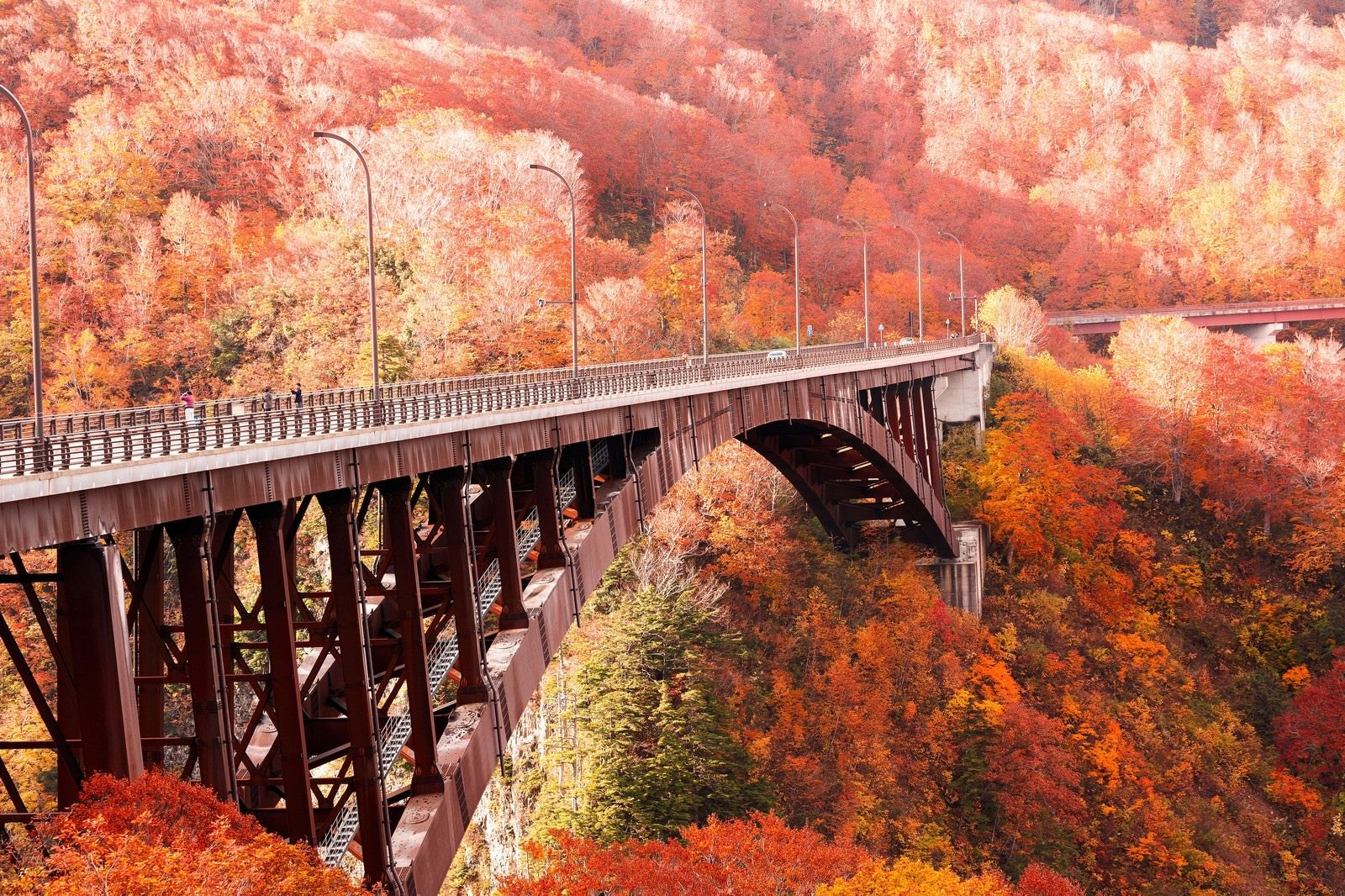 「城ヶ倉大橋と紅葉」の写真
