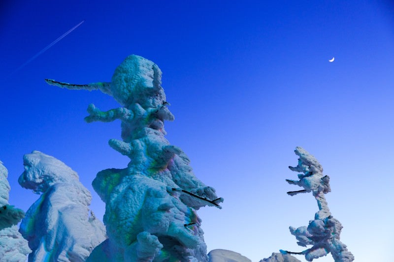 蔵王の樹氷と月の写真