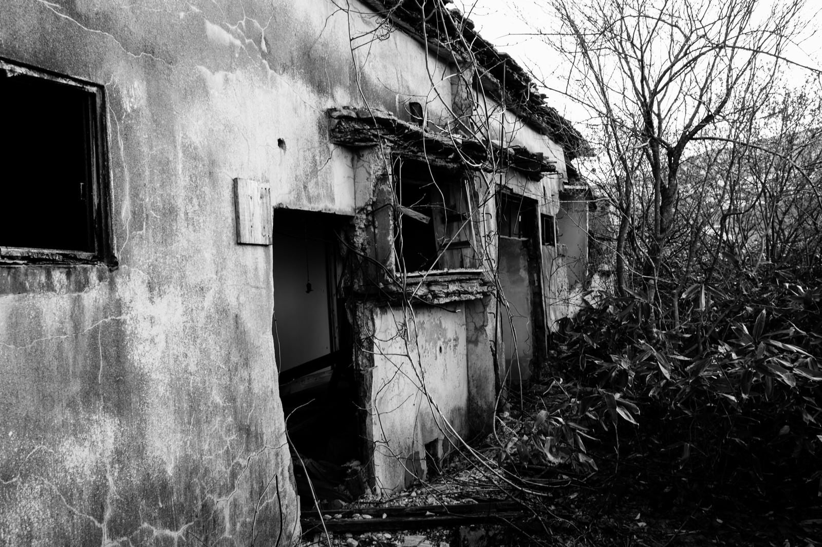 「松尾鉱山廃墟の朽ちた入り口」の写真