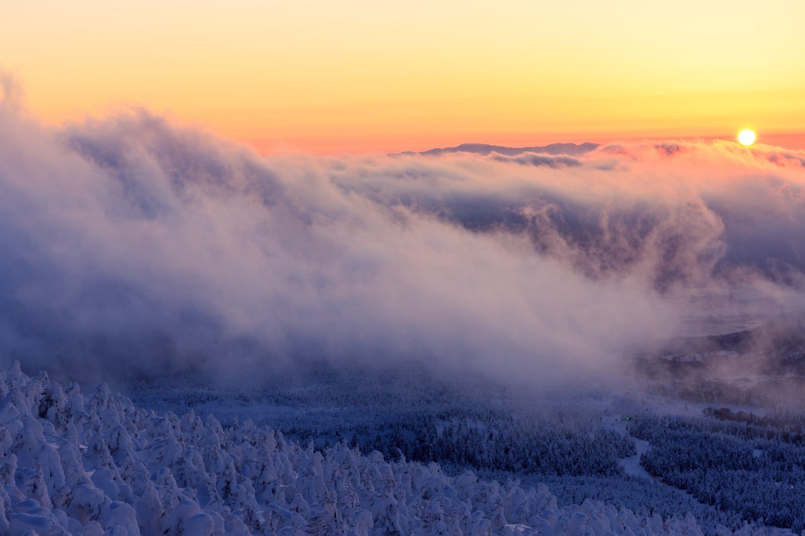 「山頂の樹氷と夕暮れ」の写真