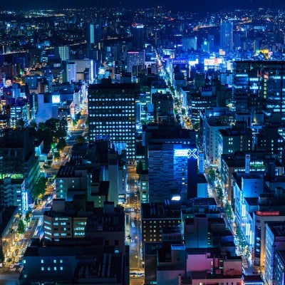 札幌の街並み（夜景）の写真