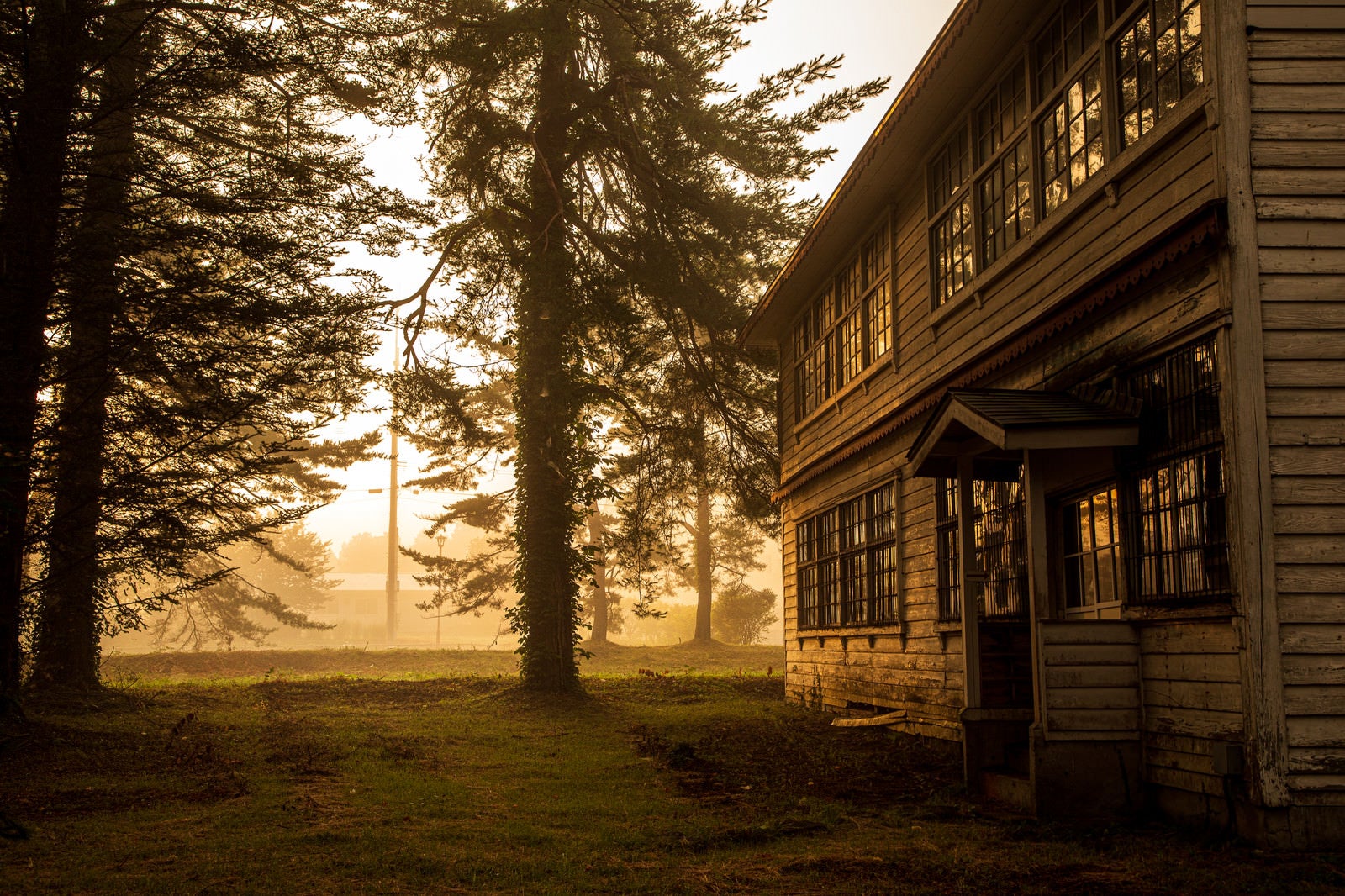 「朝霧に包まれる夜明けの廃校舎」の写真