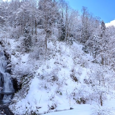 滝百選の秋田小坂町の七滝の写真