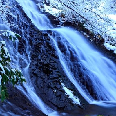 雪中滝の写真