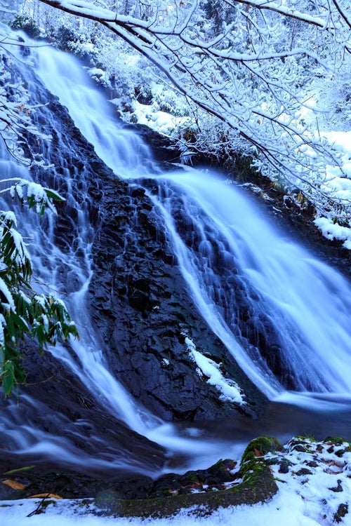 雪中滝の写真