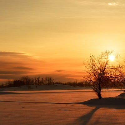 雪国の夕陽の写真