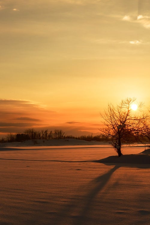雪国の夕陽の写真