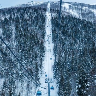 スキー場のゴンドラの中からの写真