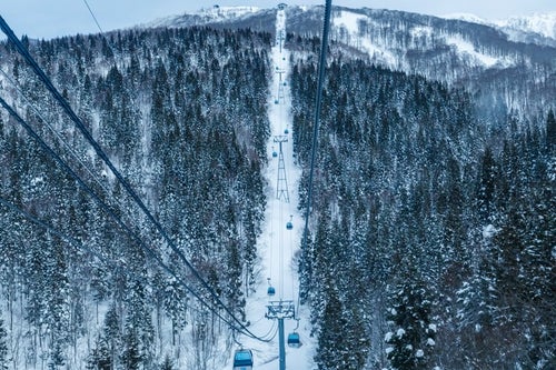 スキー場のゴンドラの中からの写真