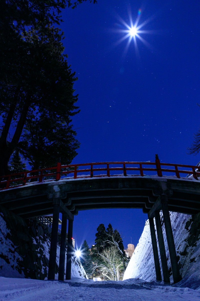 「盛岡城址の月」の写真