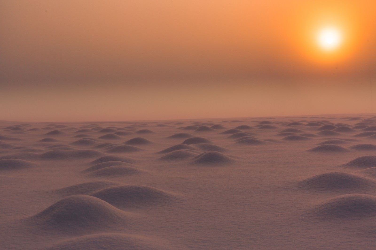 「雪原の朝」の写真