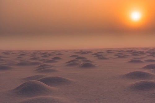 雪原の朝の写真