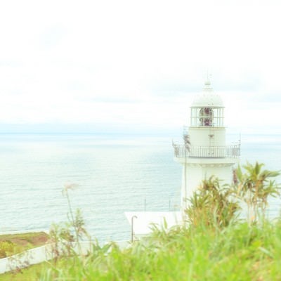 淡色灯台前の写真