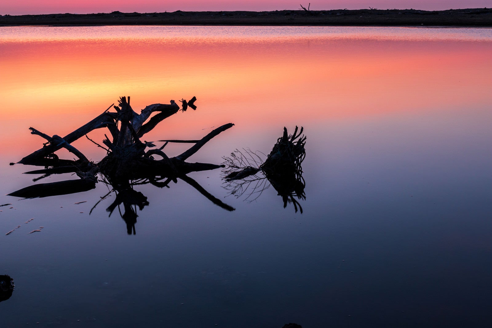 「蒲生干潟の夜明けと朝焼けの水面」の写真