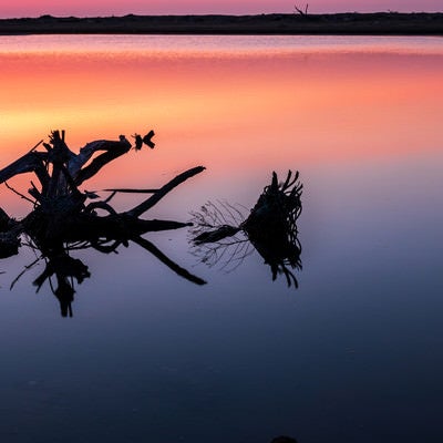 蒲生干潟の夜明けと朝焼けの水面の写真