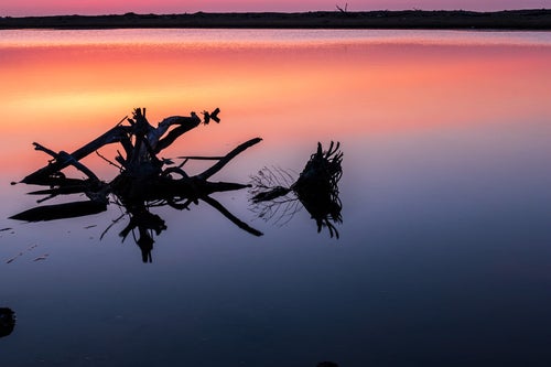 蒲生干潟の夜明けと朝焼けの水面の写真
