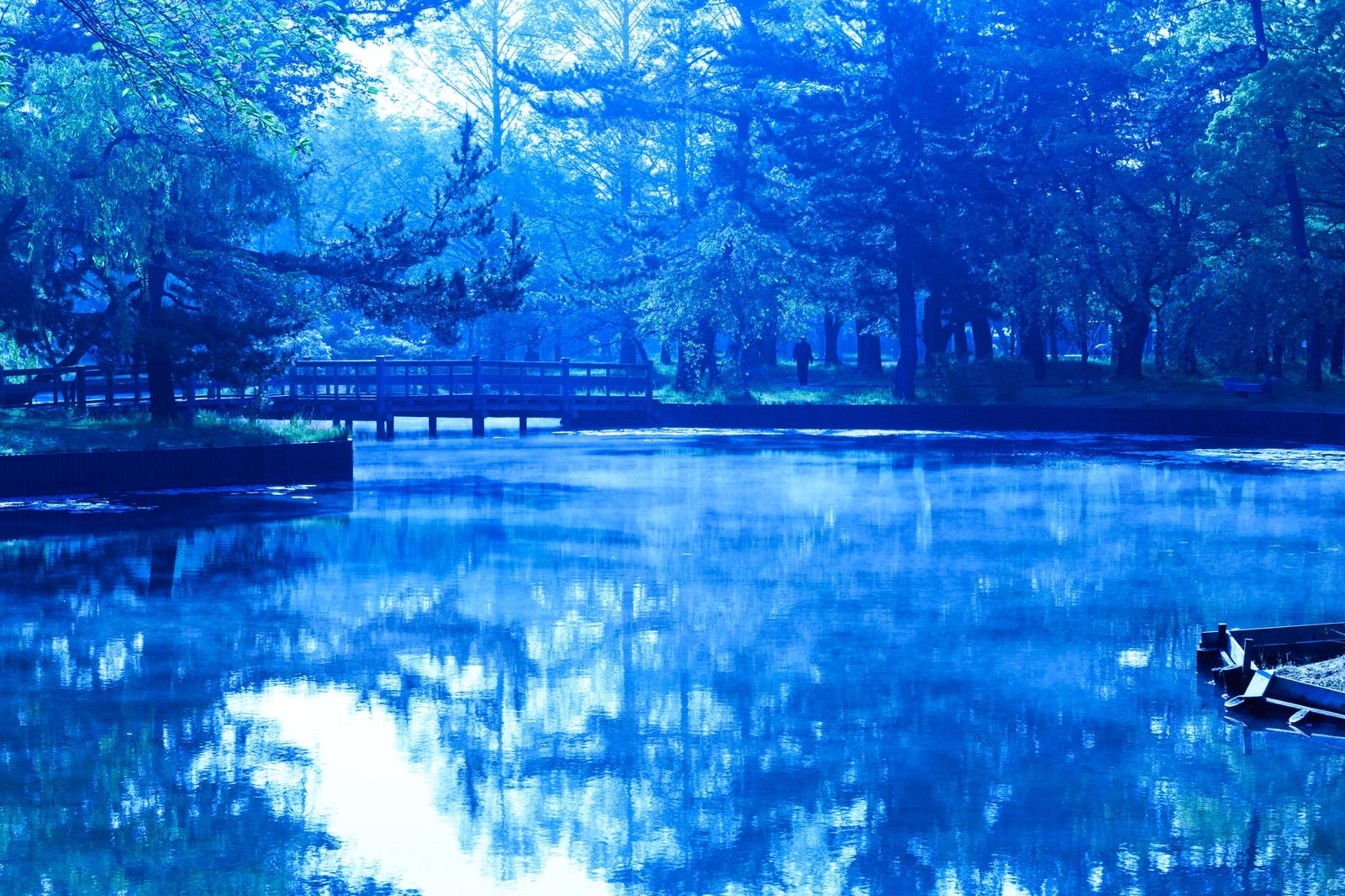 「朝の公園（青）」の写真