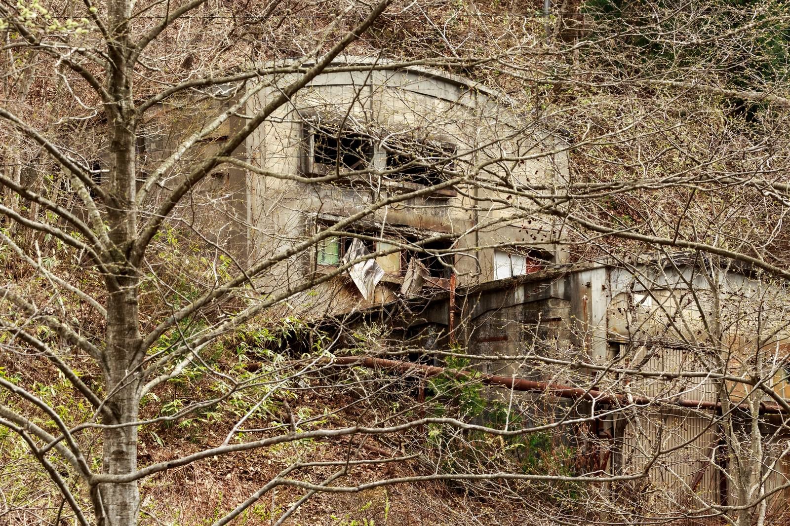 「森の中の廃墟（古遠部鉱山）」の写真