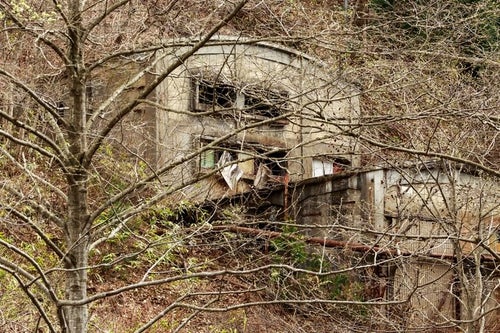 森の中の廃墟（古遠部鉱山）の写真