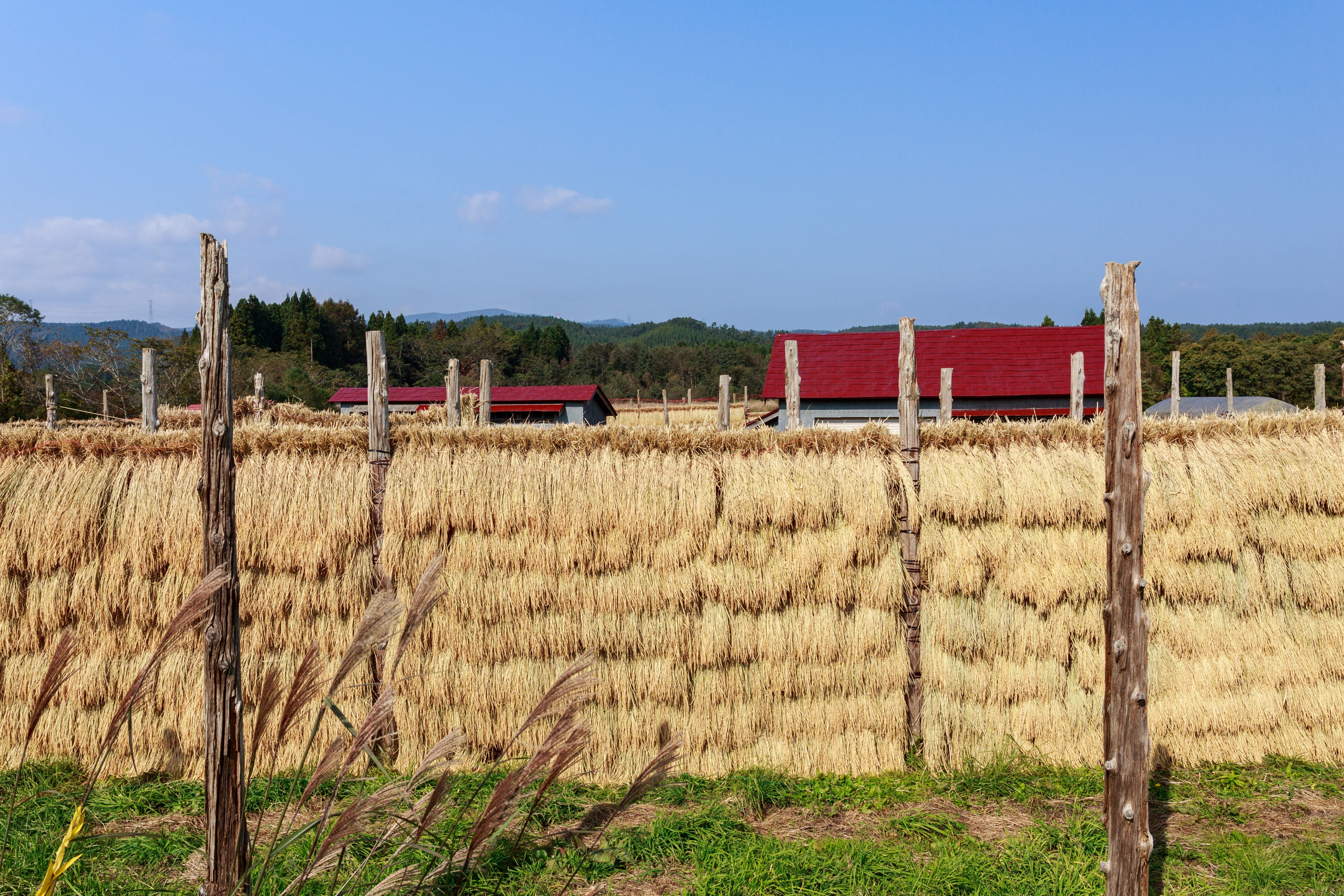 AMEhasagake.jpg?&download=1