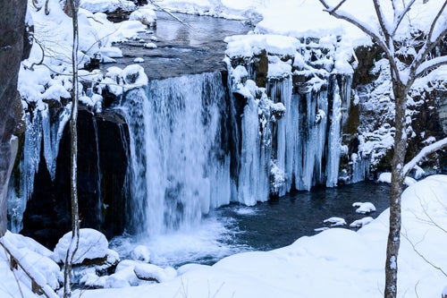 冬の銚子大滝の写真