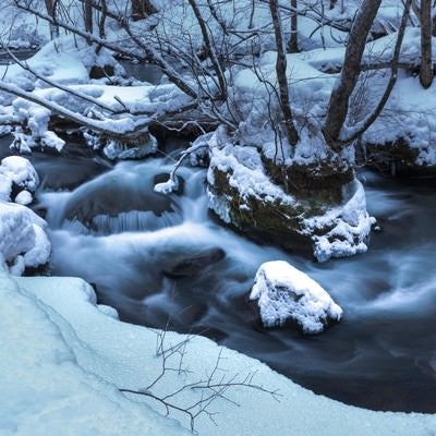 冬の奥入瀬の流れの写真